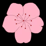色花堂APP应用